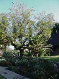 MVC-528F_200.JPG (16787 Byte)