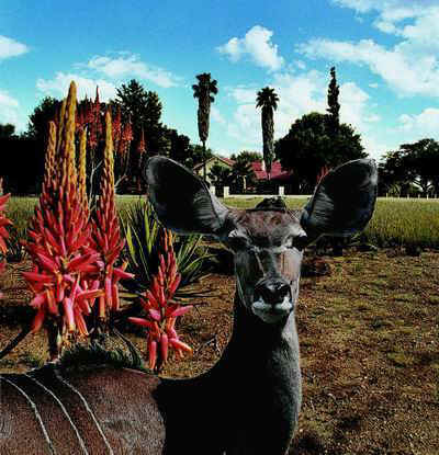 xx OTJHAUSV-v003 mit Kudu-400-cut02.JPG (50144 Byte)