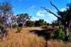 OTJBUSCH-100x60.jpg (9455 Byte)