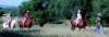 reiten-kl.jpg (5183 Byte)
