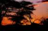 OTJSONNE-100x60.jpg (7470 Byte)